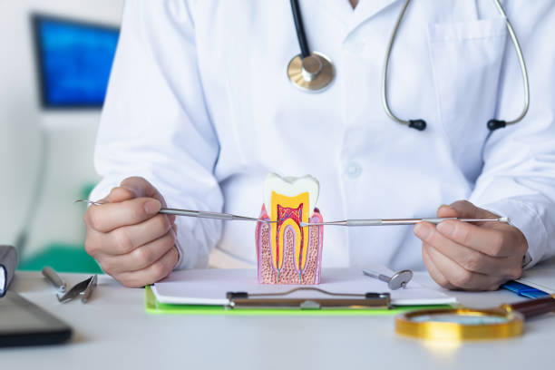 Best Weekend Emergency Dentist in Robbins, IL